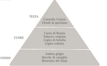 Carica l&#39;immagine nel visualizzatore di Gallery, Nasoterapia -  Tabacco Speziato e Ambra Pura
